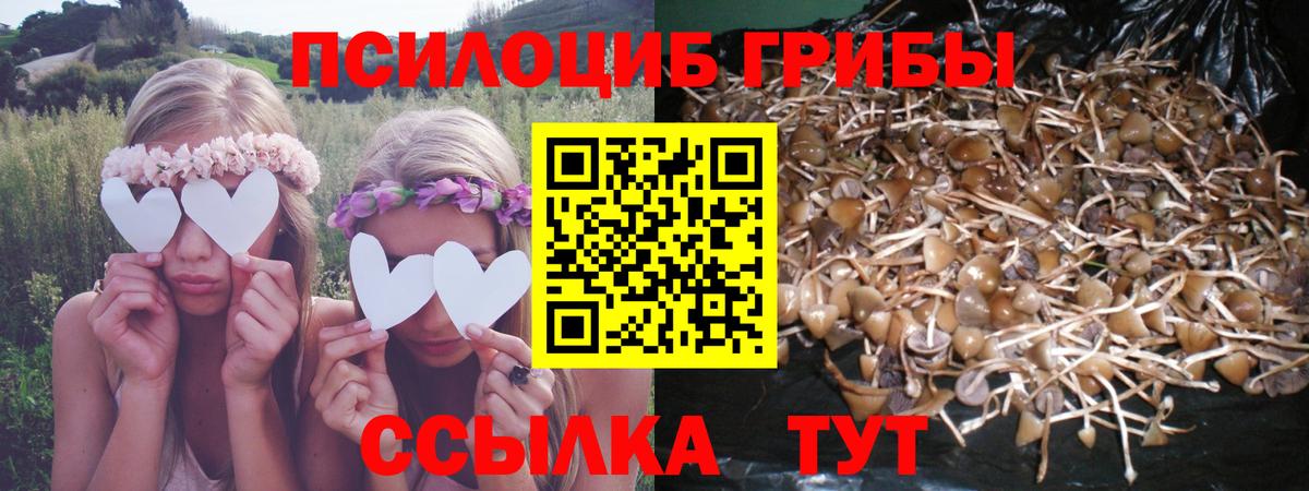 Галлюциногенные грибы MAGIC MUSHROOMS  Псилоцибиновые грибы мухоморы  как найти   Анапа  Вход с VPN 